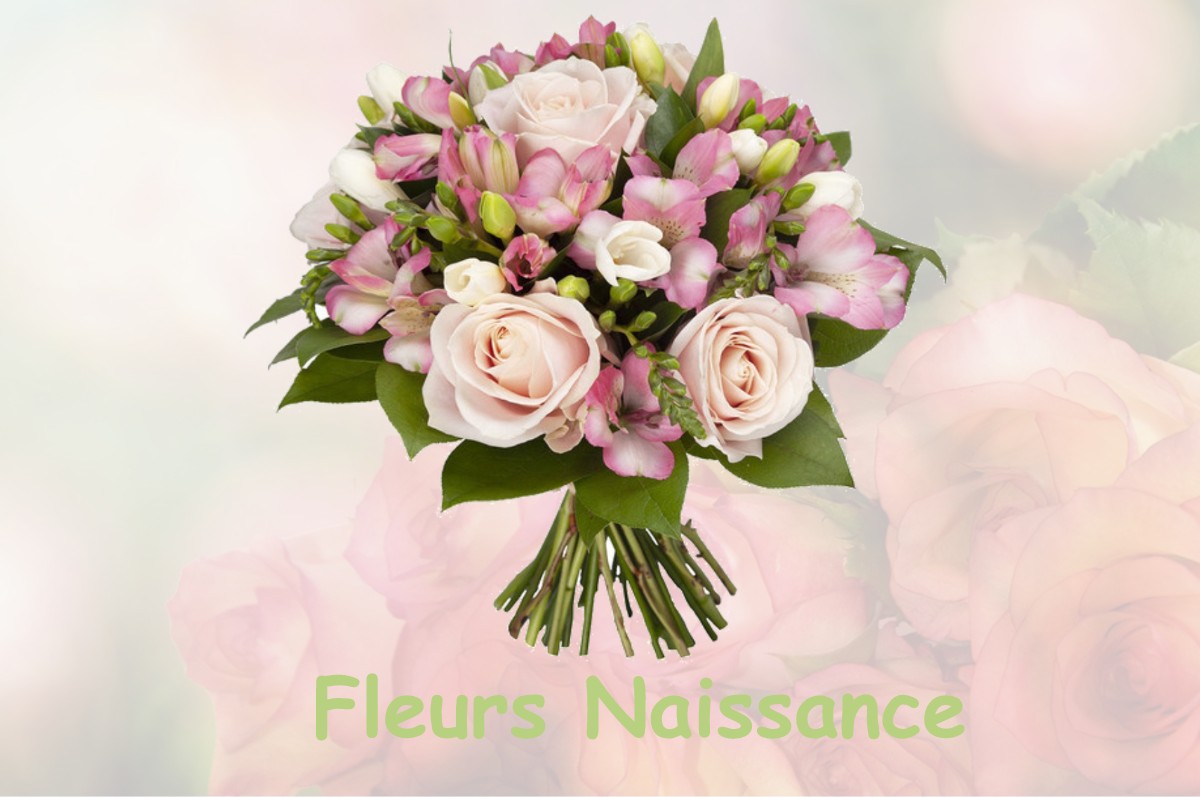 fleurs naissance AULNOY-LEZ-VALENCIENNES