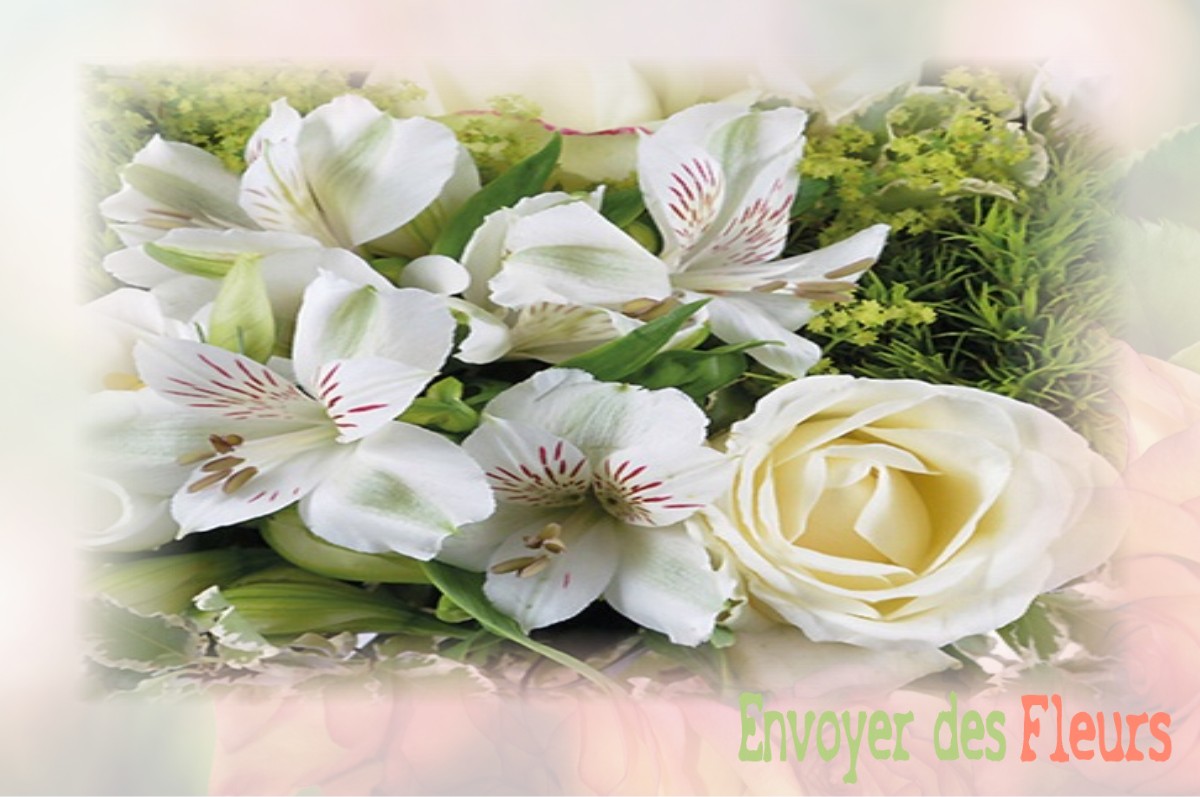 envoyer des fleurs à à AULNOY-LEZ-VALENCIENNES